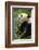 China, Sichuan, Chengdu, Giant Panda Bear Feeding on Bamboo Shoots-Paul Souders-Framed Photographic Print