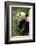 China, Sichuan, Chengdu, Giant Panda Bear Feeding on Bamboo Shoots-Paul Souders-Framed Photographic Print