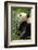 China, Sichuan, Chengdu, Giant Panda Bear Feeding on Bamboo Shoots-Paul Souders-Framed Photographic Print