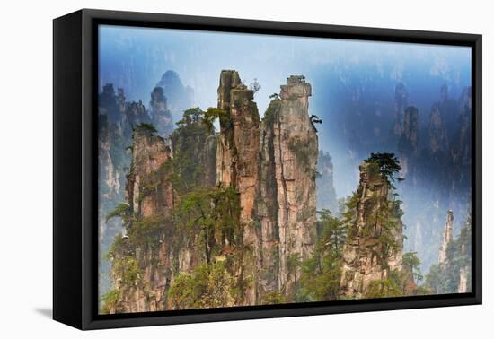 China, Zhangjiajie, Wulingyuan Scenic Area, Zhangjiajie National Forest Park-Tuul And Bruno Morandi-Framed Premier Image Canvas