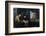 China-WizData-Framed Photographic Print