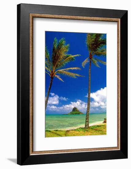 Chinamens Hat in Kaneohe Bay, Hawaii-George Oze-Framed Photographic Print