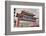 Chinatown Gate in Seattle Washington-jpldesigns-Framed Photographic Print