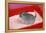 Chinchilla Baby in Sand Tray, Bathing to Help-null-Framed Premier Image Canvas