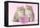 Chinchilla Kittens with Present-null-Framed Premier Image Canvas