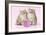 Chinchilla Kittens with Present-null-Framed Photographic Print