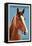 Chincoteague, Virginia - Horse-Lantern Press-Framed Stretched Canvas