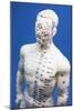 Chinese Acupuncture Model-null-Mounted Photographic Print