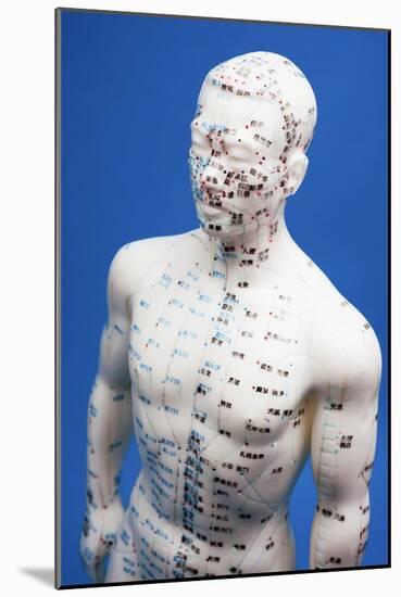 Chinese Acupuncture Model-null-Mounted Photographic Print