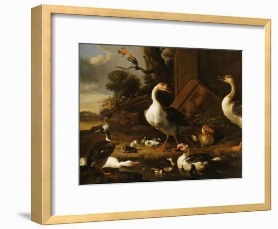 Chinese and Egyptian Geese and Other Birds in a Landscape with Ruins Nearby-Melchior de Hondecoeter-Framed Giclee Print