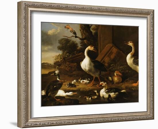 Chinese and Egyptian Geese and Other Birds in a Landscape with Ruins Nearby-Melchior de Hondecoeter-Framed Giclee Print