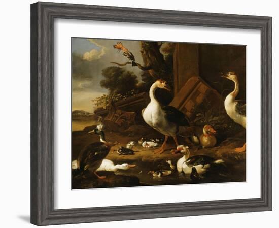 Chinese and Egyptian Geese and Other Birds in a Landscape with Ruins Nearby-Melchior de Hondecoeter-Framed Giclee Print