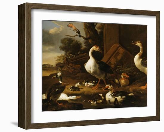 Chinese and Egyptian Geese and Other Birds in a Landscape with Ruins Nearby-Melchior de Hondecoeter-Framed Giclee Print