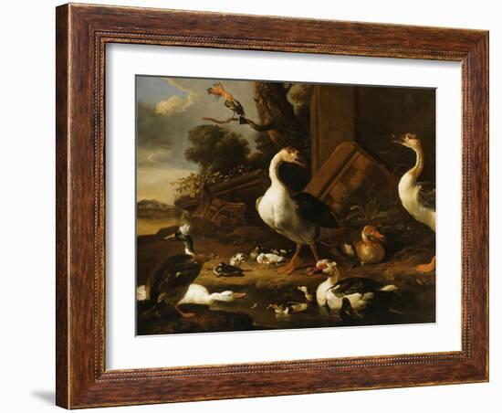 Chinese and Egyptian Geese and Other Birds in a Landscape with Ruins Nearby-Melchior de Hondecoeter-Framed Giclee Print