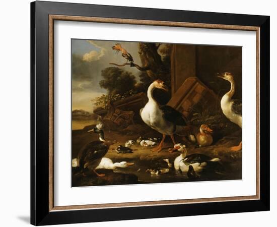 Chinese and Egyptian Geese and Other Birds in a Landscape with Ruins Nearby-Melchior de Hondecoeter-Framed Giclee Print