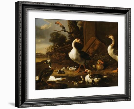 Chinese and Egyptian Geese and Other Birds in a Landscape with Ruins Nearby-Melchior de Hondecoeter-Framed Giclee Print