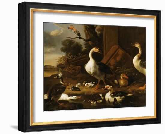 Chinese and Egyptian Geese and Other Birds in a Landscape with Ruins Nearby-Melchior de Hondecoeter-Framed Giclee Print