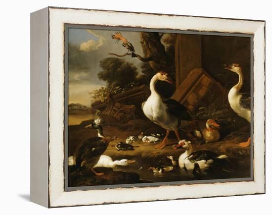 Chinese and Egyptian Geese and Other Birds in a Landscape with Ruins Nearby-Melchior de Hondecoeter-Framed Premier Image Canvas