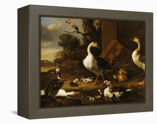 Chinese and Egyptian Geese and Other Birds in a Landscape with Ruins Nearby-Melchior de Hondecoeter-Framed Premier Image Canvas