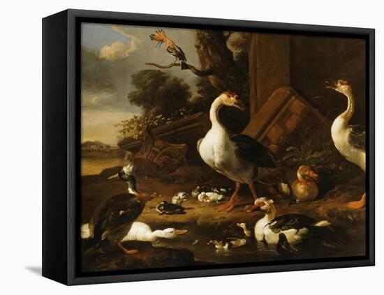 Chinese and Egyptian Geese and Other Birds in a Landscape with Ruins Nearby-Melchior de Hondecoeter-Framed Premier Image Canvas