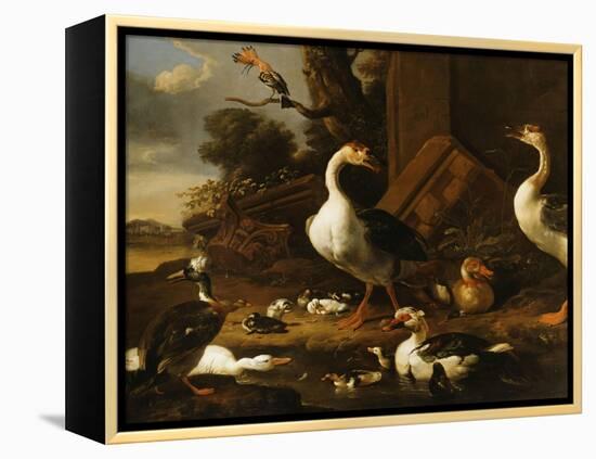 Chinese and Egyptian Geese and Other Birds in a Landscape with Ruins Nearby-Melchior de Hondecoeter-Framed Premier Image Canvas