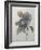 Chinese Aster-Pierre-Joseph Redoute-Framed Art Print