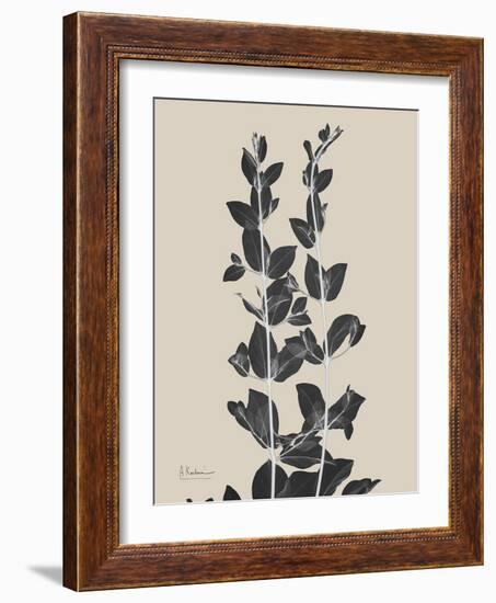 Chinese Bird Plum-Albert Koetsier-Framed Art Print