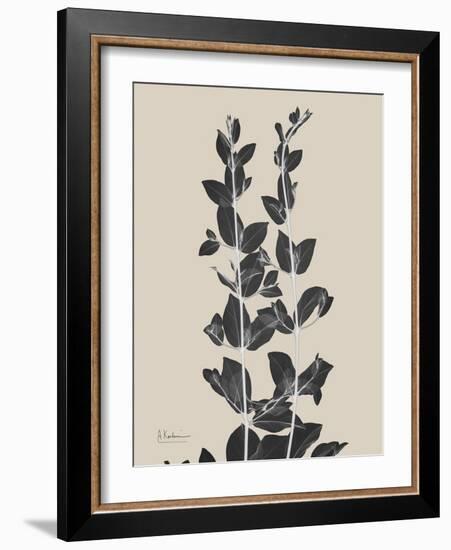 Chinese Bird Plum-Albert Koetsier-Framed Art Print