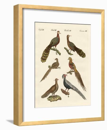 Chinese Birds-null-Framed Giclee Print