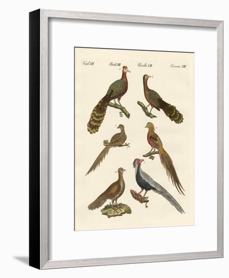 Chinese Birds-null-Framed Giclee Print
