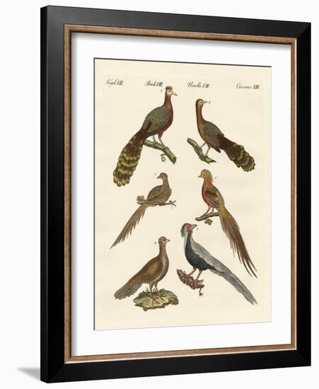 Chinese Birds-null-Framed Giclee Print