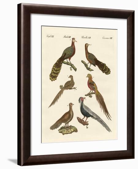 Chinese Birds-null-Framed Giclee Print