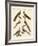 Chinese Birds-null-Framed Giclee Print