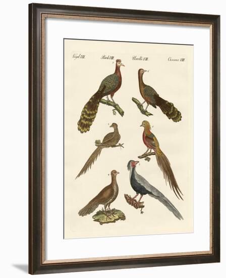 Chinese Birds-null-Framed Giclee Print