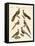 Chinese Birds-null-Framed Premier Image Canvas