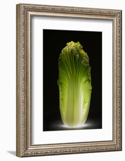 Chinese cabbage-Wieteke de Kogel-Framed Photographic Print