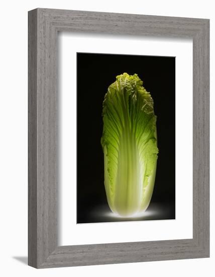 Chinese cabbage-Wieteke de Kogel-Framed Photographic Print