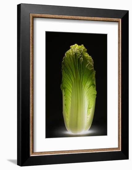 Chinese cabbage-Wieteke de Kogel-Framed Photographic Print