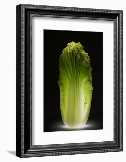 Chinese cabbage-Wieteke de Kogel-Framed Photographic Print