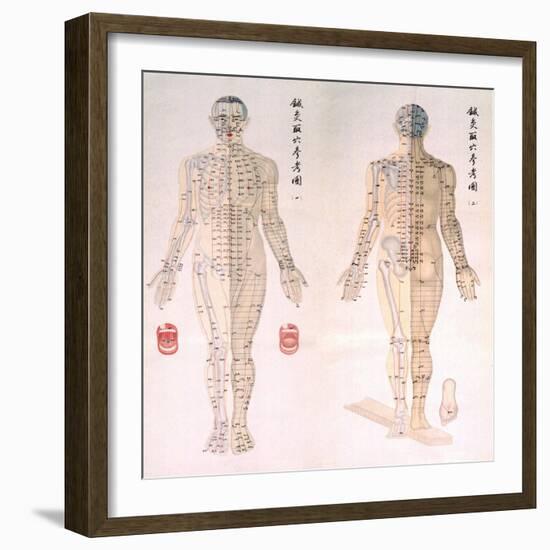 Chinese Chart of Acupuncture Points on a Male Body, 1956-null-Framed Premium Giclee Print