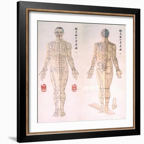 Chinese Chart of Acupuncture Points on a Male Body, 1956-null-Framed Premium Giclee Print