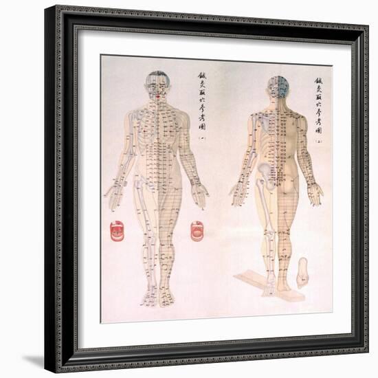 Chinese Chart of Acupuncture Points on a Male Body, 1956-null-Framed Premium Giclee Print