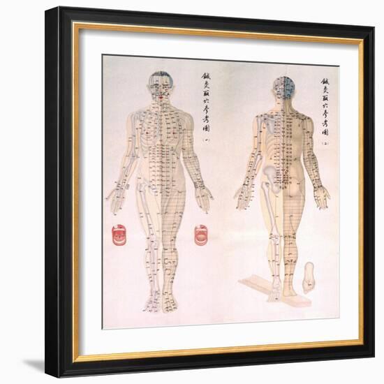 Chinese Chart of Acupuncture Points on a Male Body, 1956-null-Framed Premium Giclee Print