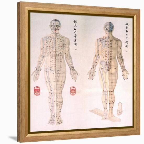 Chinese Chart of Acupuncture Points on a Male Body, 1956-null-Framed Stretched Canvas