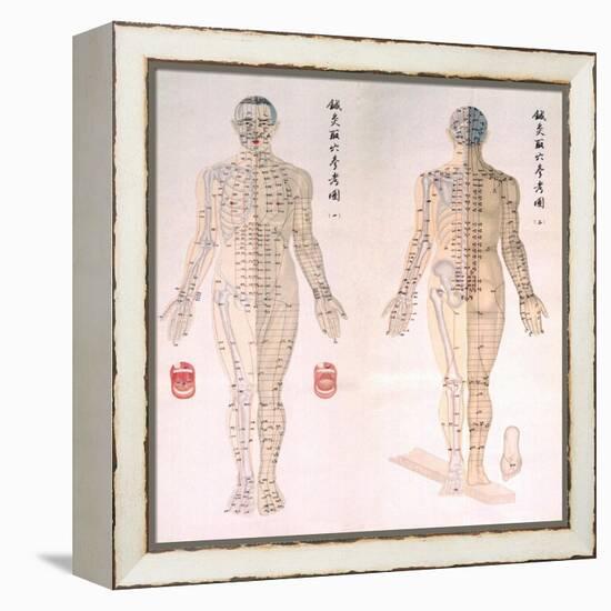 Chinese Chart of Acupuncture Points on a Male Body, 1956-null-Framed Stretched Canvas