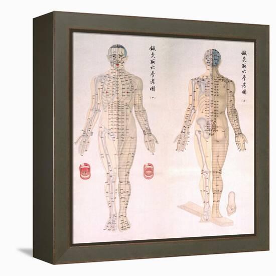 Chinese Chart of Acupuncture Points on a Male Body, 1956-null-Framed Stretched Canvas