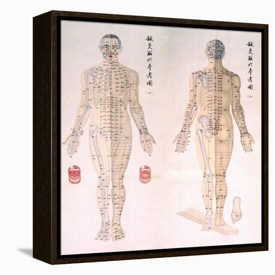 Chinese Chart of Acupuncture Points on a Male Body, 1956-null-Framed Stretched Canvas