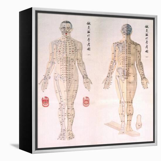 Chinese Chart of Acupuncture Points on a Male Body, 1956-null-Framed Stretched Canvas