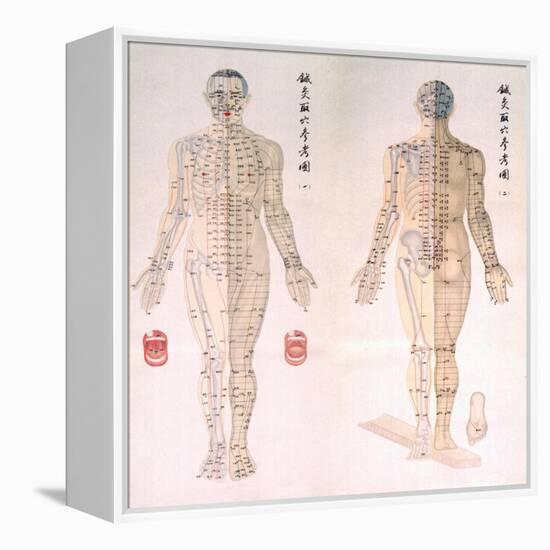 Chinese Chart of Acupuncture Points on a Male Body, 1956-null-Framed Stretched Canvas