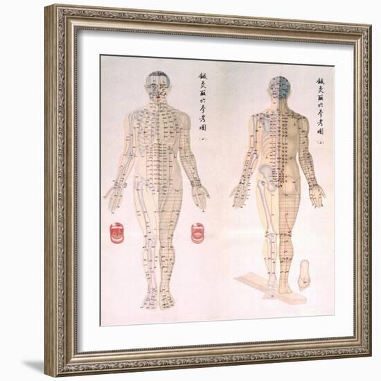 Chinese Chart of Acupuncture Points on a Male Body, 1956-null-Framed Art Print